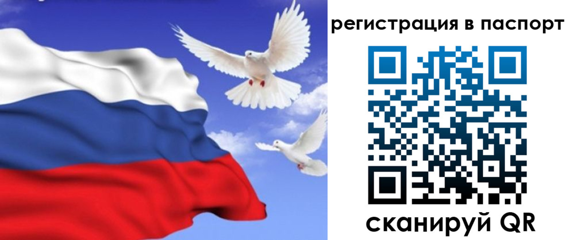 купить прописку в Няндоме